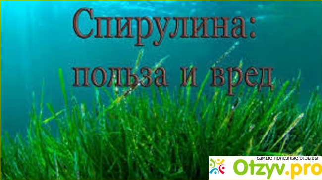 Спирулина отзывы худеющих фото1