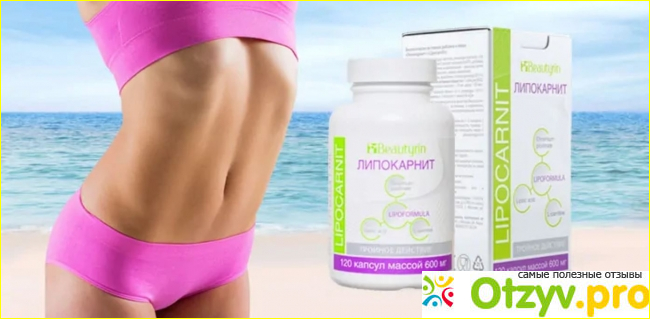 Как действует Lipocarnit