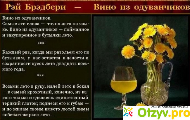 Вино из одуванчиков краткое по главам. Вино из одуванчиков Рэя Брэдбери кратко. Вино из одуванчиков краткое описание.