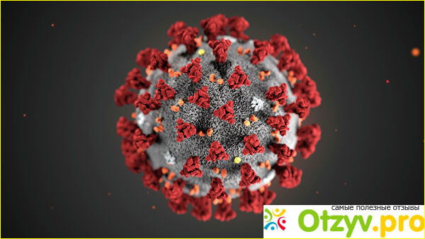 Отзыв о Коронавирус. Распространение