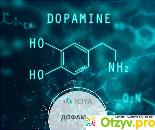 Дофамин: функция, дефицит и естественное повышение уровня фото1