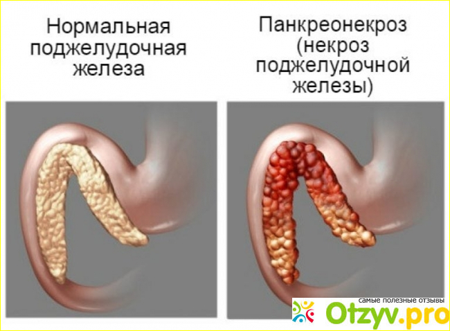 Отзывы пациентов и их родственников. 