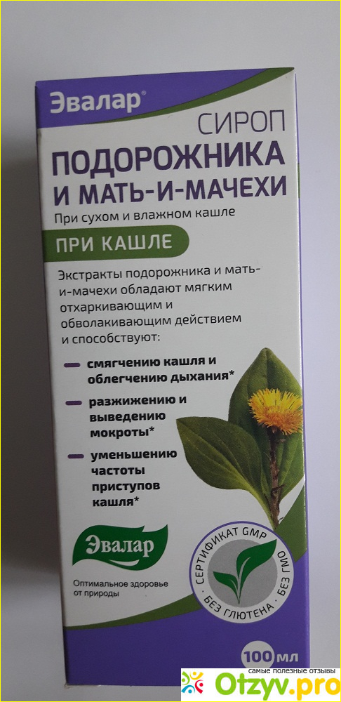 Сироп подорожника мать и мачеха от кашля. Сироп подорожника и мать-и-мачехи. Сироп подорожника и мать-и-мачехи 100мл Эвалар. Сироп «подорожника» от кашля. Подорожник мать и мачеха Эвалар.