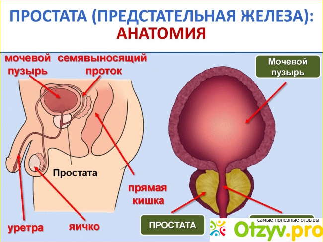 состав препарата