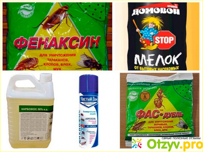 Отзыв о Пиретроиды – особенности токсикологии