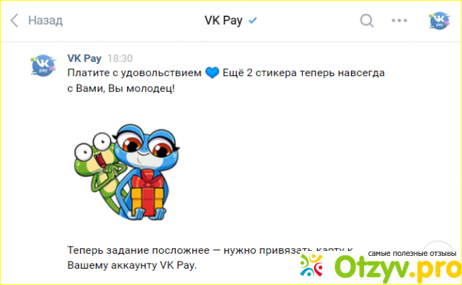 Платежная система VK Pay фото1