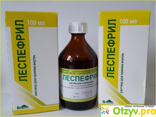 4. «Леспефлан» 