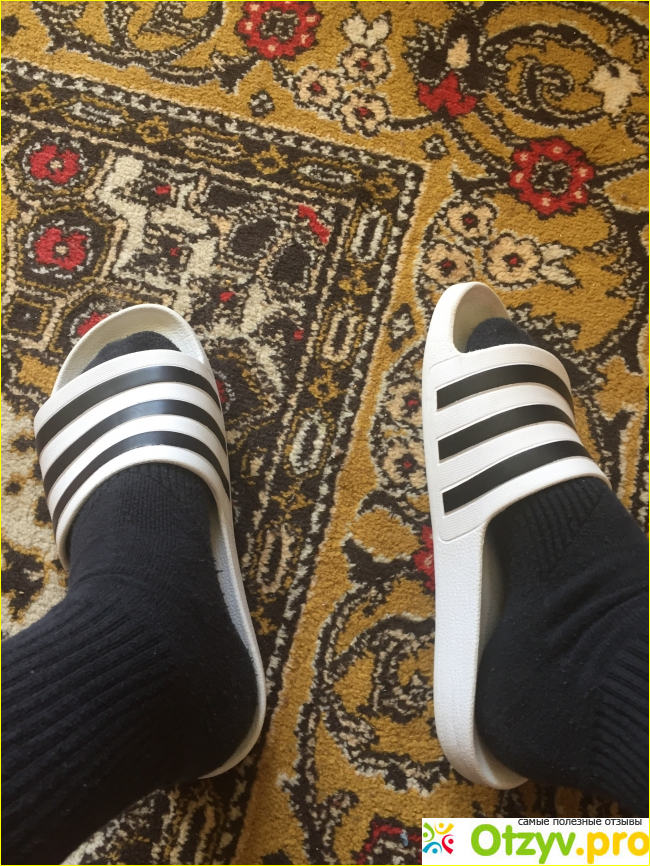 Отзыв о Шлёпанцы adidas originals adilette