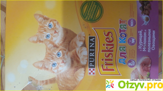 Отзыв о Friskies для котят