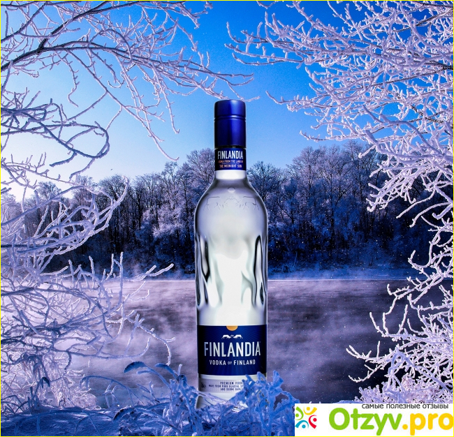 Отзыв о Водка Finlandia