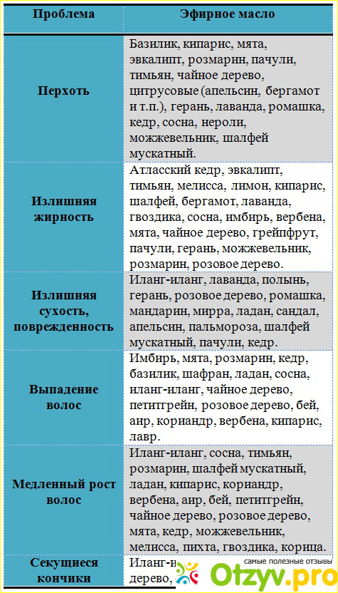 Руководство