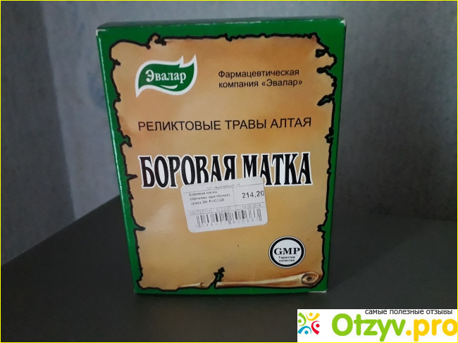 Отзыв о Боровая матка