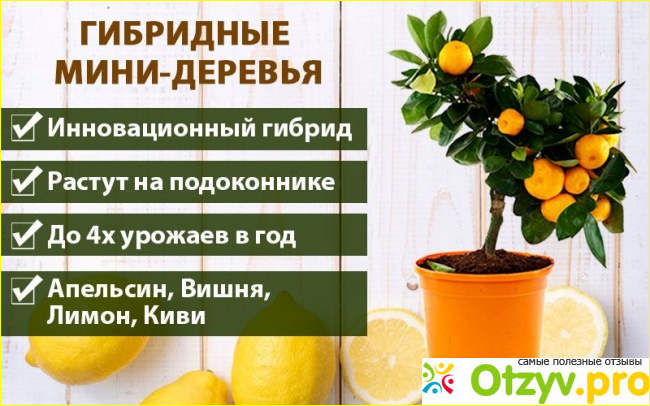 Что входит в комплект?