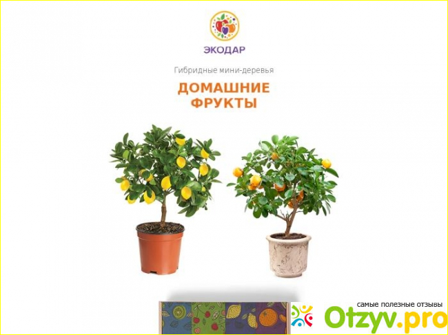 Комментарии.