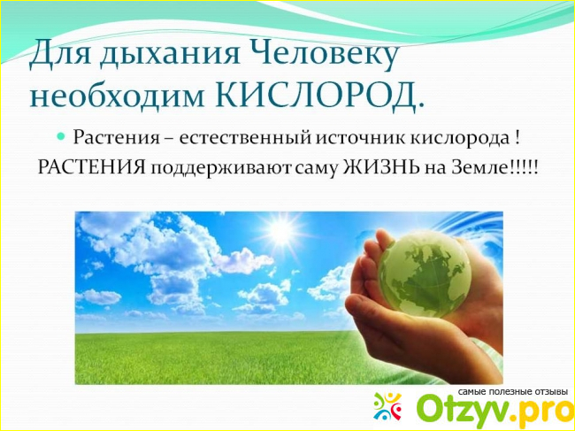 Отзыв о В чём польза кислорода