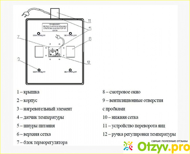 Как устроен инкубатор