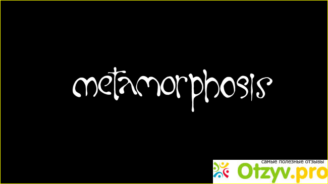 Отзыв о Игра Metamorphosis