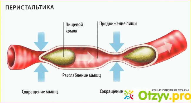 Способы применения и дозировки