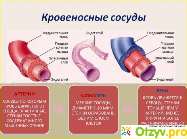 Аналоги и стоимость