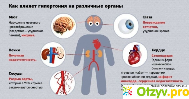 Как правильно принимать