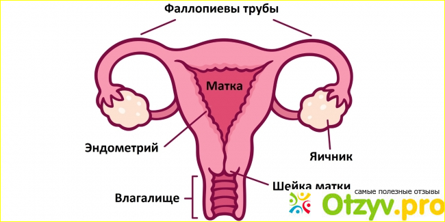 Флуомизин инструкция по применению цена отзывы аналоги фото1