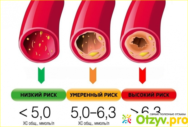 Отзыв о Тулип инструкция по применению цена отзывы аналоги