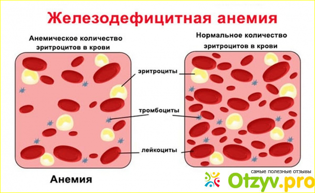 Отзыв о Тотема инструкция по применению отзывы