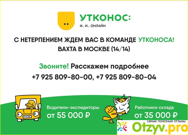 Работа в службе доставки Утконос. 