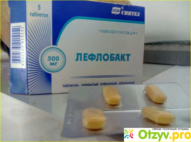 Лефлобакт инструкция