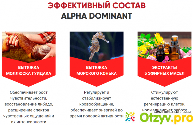 Alpha dominant для мужчин отзывы фото3