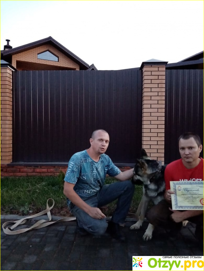 Отзыв о Школа дрессировки собак Akita Dog School