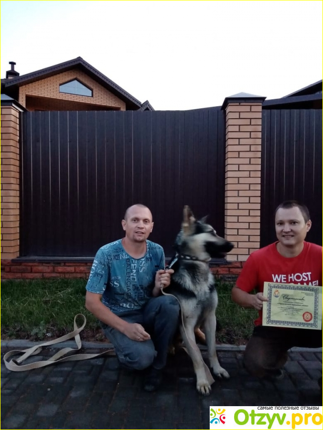 Школа дрессировки собак Akita Dog School фото1
