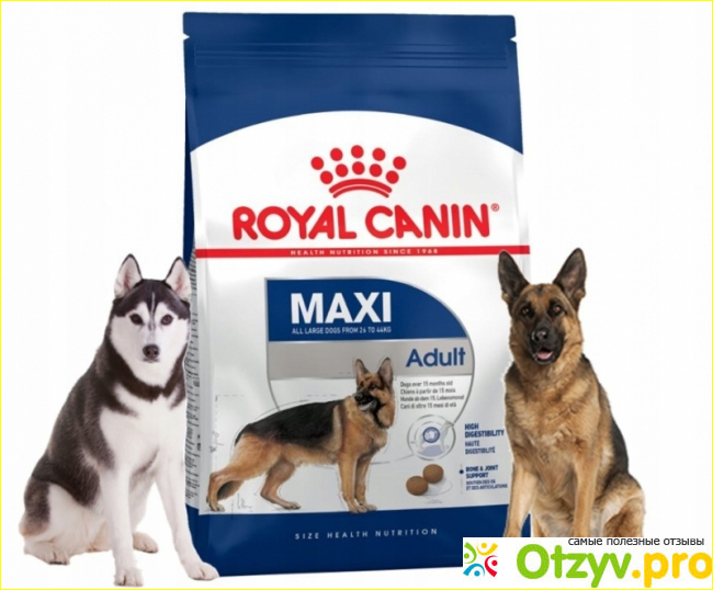 Отзыв о «Royal Canin»