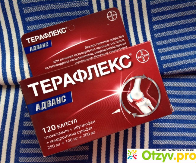 Лекарственное средство Терафлекс адванс.