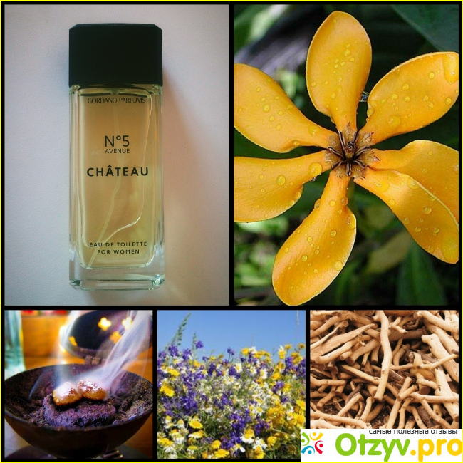 Chateau 5 фото2