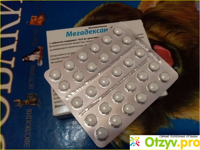 Мегадексан 10 мг фото1