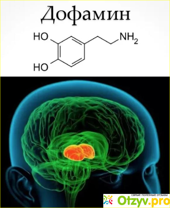 Дофамина — моё мнение