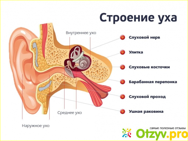 Отзыв о Отофа