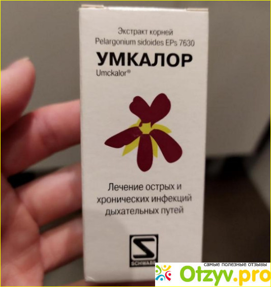 Отзыв о Умкалор