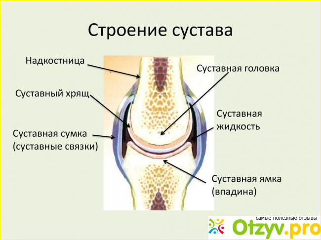 Отзыв о Артрадол отзывы