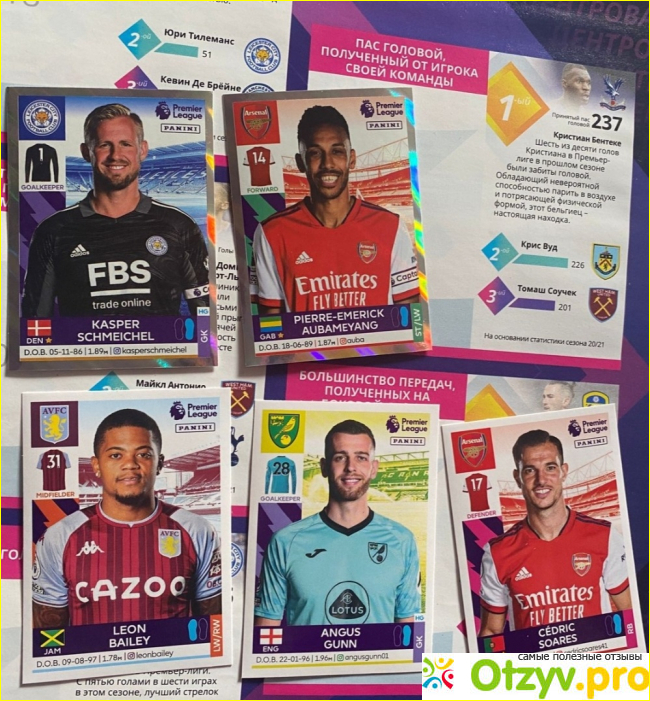 Panini Premier League. Официальный альбом для наклеек 2022 фото1