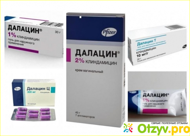 Когда принимается