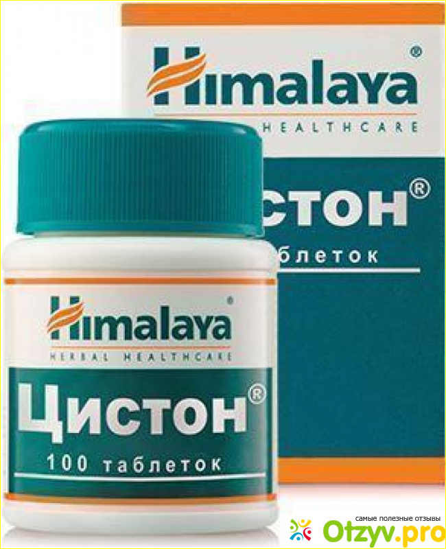 Противопоказания к приёму таблеток Цистон