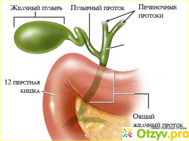 Аналоги.