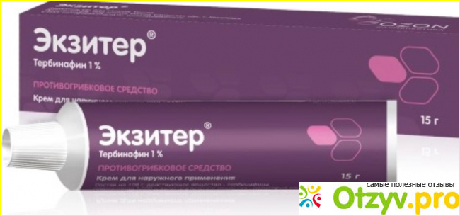 Экзитер