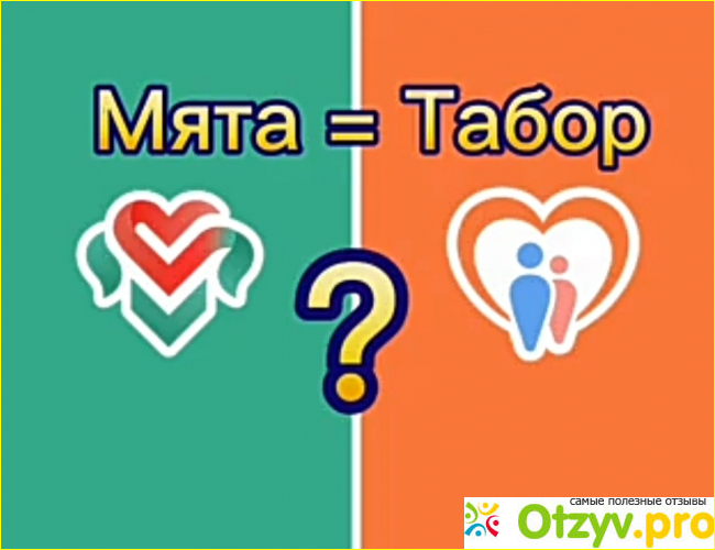 Табор и Мята - одно и то же или нет? фото2