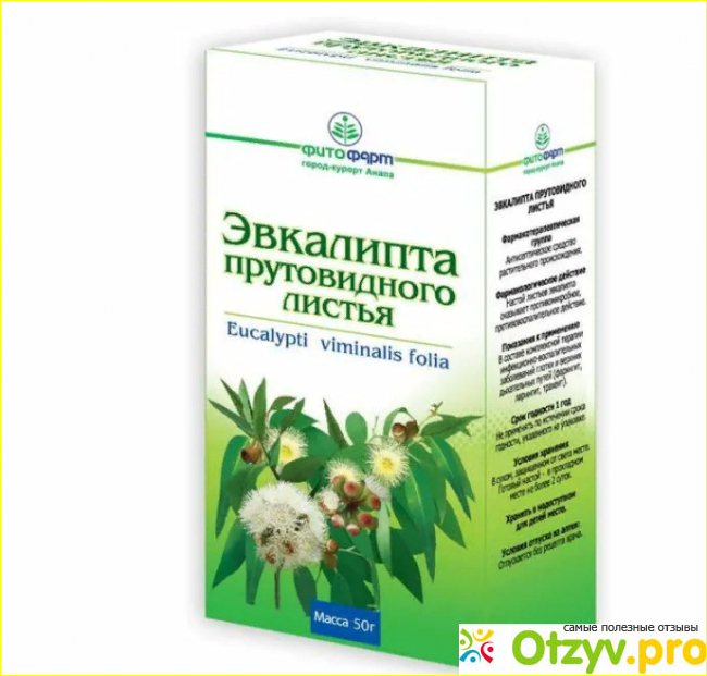 Отзыв о Эвкалипта лист