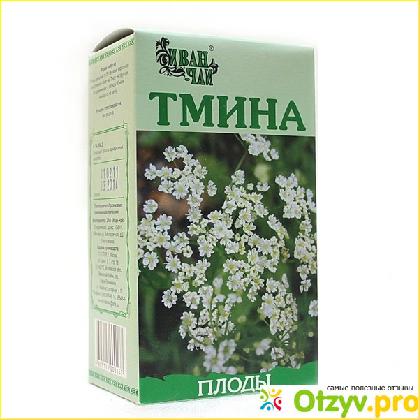Тмина плоды фото1