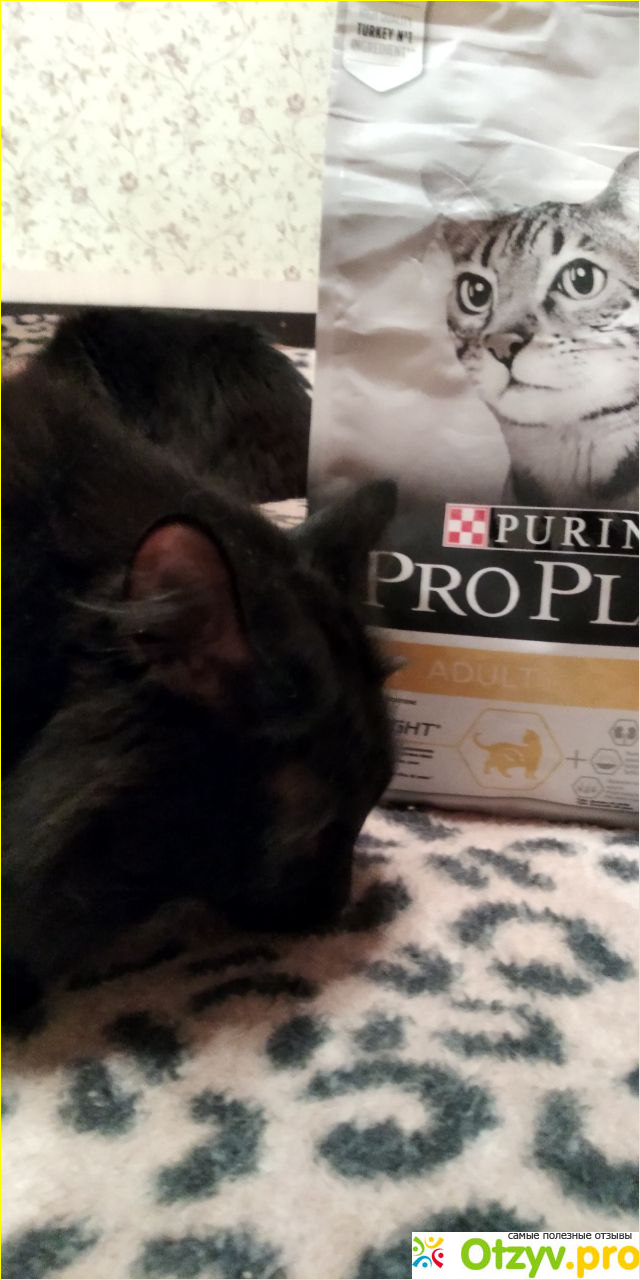 Сухой Корм Purina Pro Plan Light для кошек фото3