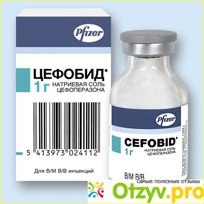 Цефобид фото3
